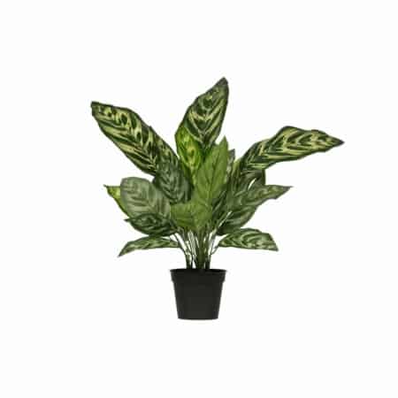 Deze Aglaonema kunstplant in pot komt uit de collectie van het Nederlandse merk WOOOD.