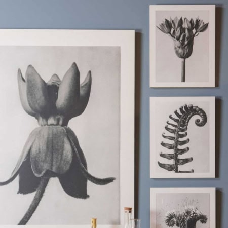 BePureHome Artwork plantstudie 94 grijs/beige 50x40 - Afbeelding 3