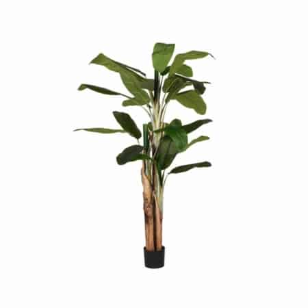 Musa kunstplant - groen 180cm - Afbeelding 4