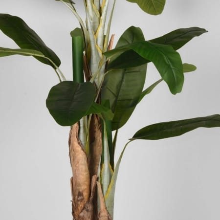 Musa kunstplant - groen 180cm - Afbeelding 3