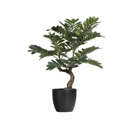 WOOOD Zamia kunstplant groen 76cm