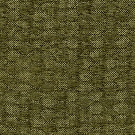 Caro - moss